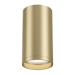 Фото 5 Потолочный светильник Technical C052CL-01MG