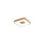 Фото 2 7927 Потолочный светильник COIN
