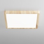 Фото 1 CL738K242V Бейсик Клен Св-к Накл. LED 24W*Мульти