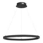 Фото 3 SL6238.433.01 Светильник подвесной ST-Luce черный/черный LED 1*32W 4000K ПАРИЛЛА