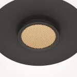 Фото 1 Подвесной светильник Maytoni MOD041PL-L15B3K1